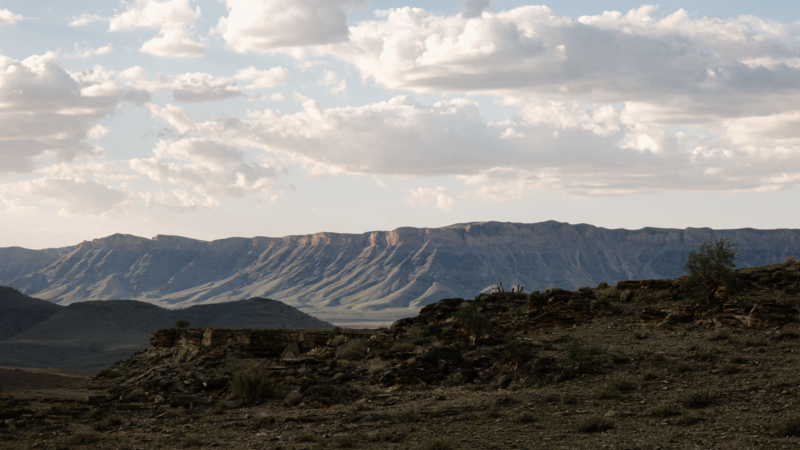 Growing grapes in the desert: This award-winning wine is made in one of the world’s harshest climates – CNN